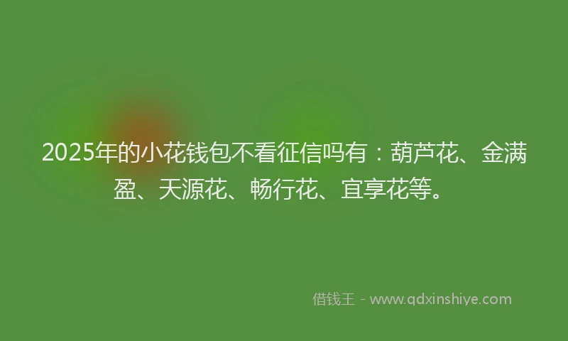 2025年的小花钱包不看征信吗有：葫芦花、金满盈、天源花、畅行花、宜享花等。
