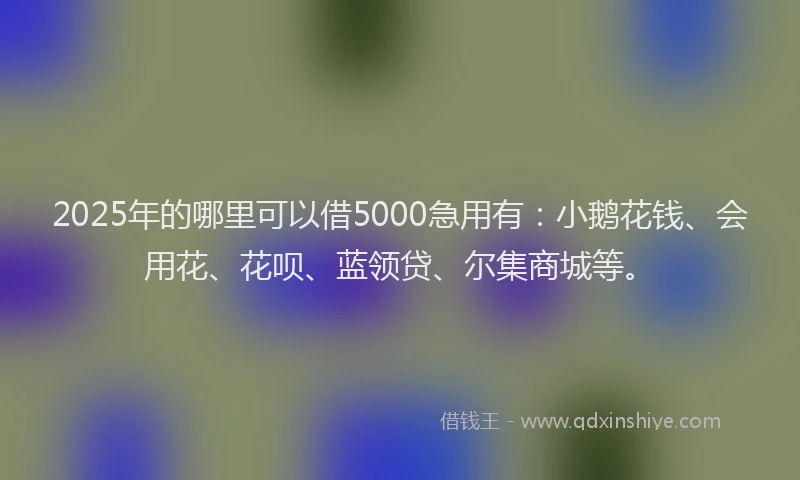 2025年的哪里可以借5000急用有：小鹅花钱、会用花、花呗、蓝领贷、尔集商城等。