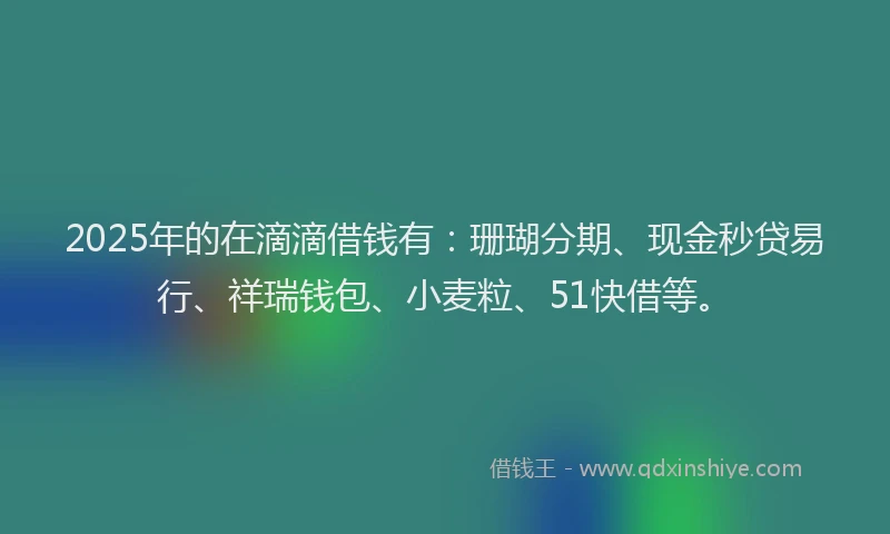 2025年的在滴滴借钱有：珊瑚分期、现金秒贷易行、祥瑞钱包、小麦粒、51快借等。