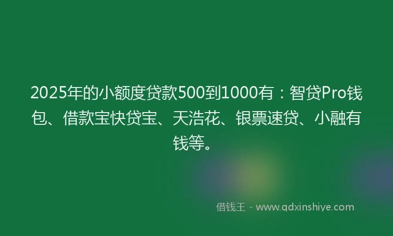 2025年的小额度贷款500到1000有:智贷Pro钱包、借款宝快贷宝、天浩花、银票速贷、小融有钱等。