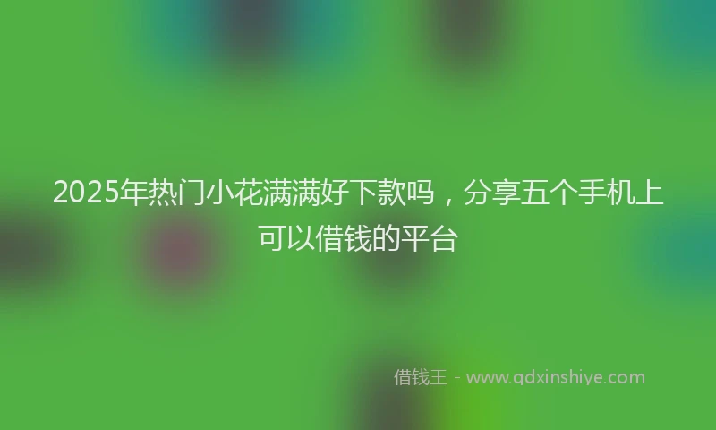 2025年热门小花满满好下款吗，分享五个手机上可以借钱的平台