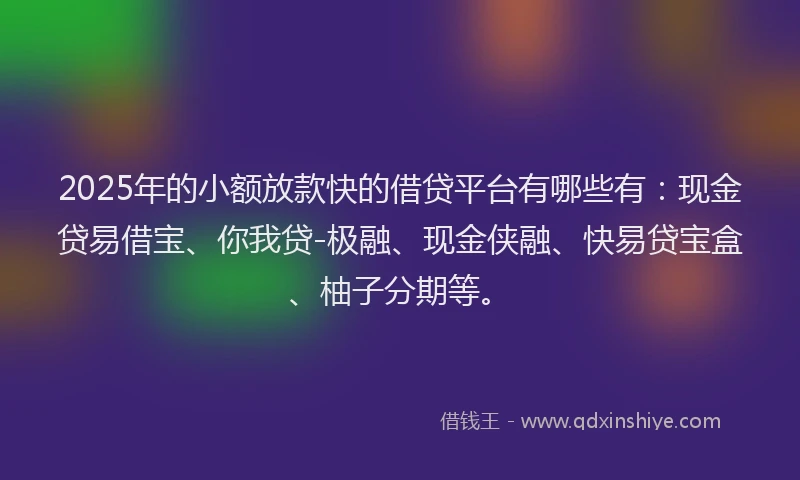 2025年的小额放款快的借贷平台有哪些有：现金贷易借宝、你我贷-极融、现金侠融、快易贷宝盒、柚子分期等。