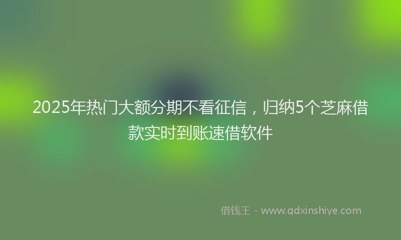 2025年热门大额分期不看征信，归纳5个芝麻借款实时到账速借软件