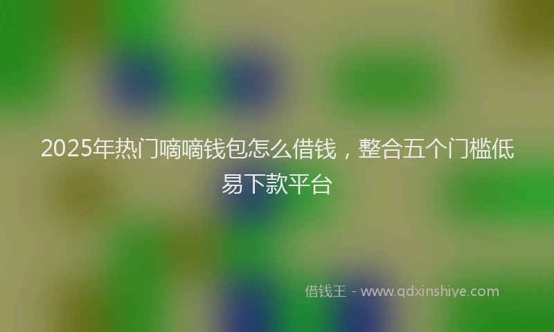 2025年热门嘀嘀钱包怎么借钱，整合五个门槛低易下款平台
