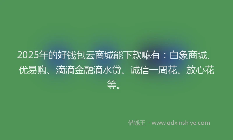2025年的好钱包云商城能下款嘛有：白象商城、优易购、滴滴金融滴水贷、诚信一周花、放心花等。