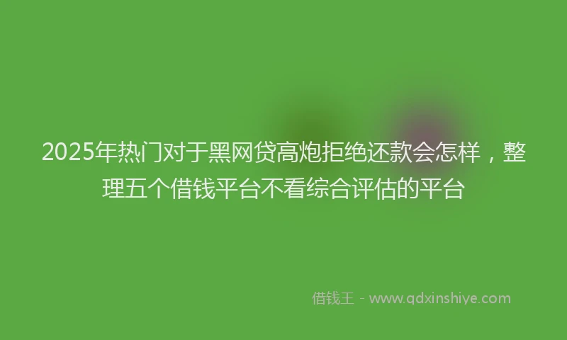 2025年热门对于黑网贷高炮拒绝还款会怎样，整理五个借钱平台不看综合评估的平台