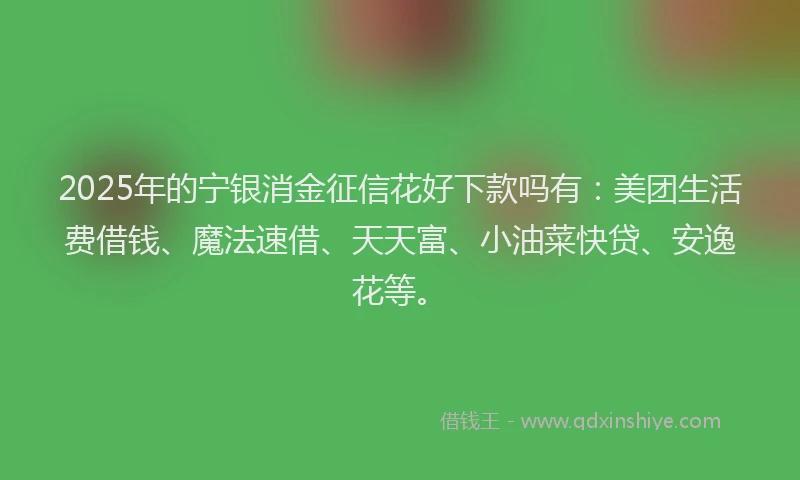2025年的宁银消金征信花好下款吗有：美团生活费借钱、魔法速借、天天富、小油菜快贷、安逸花等。
