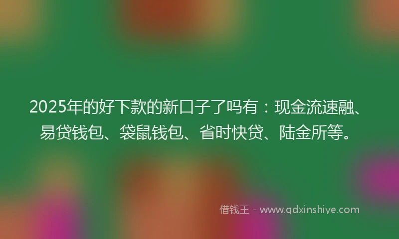 2025年的好下款的新口子了吗有：现金流速融、易贷钱包、袋鼠钱包、省时快贷、陆金所等。