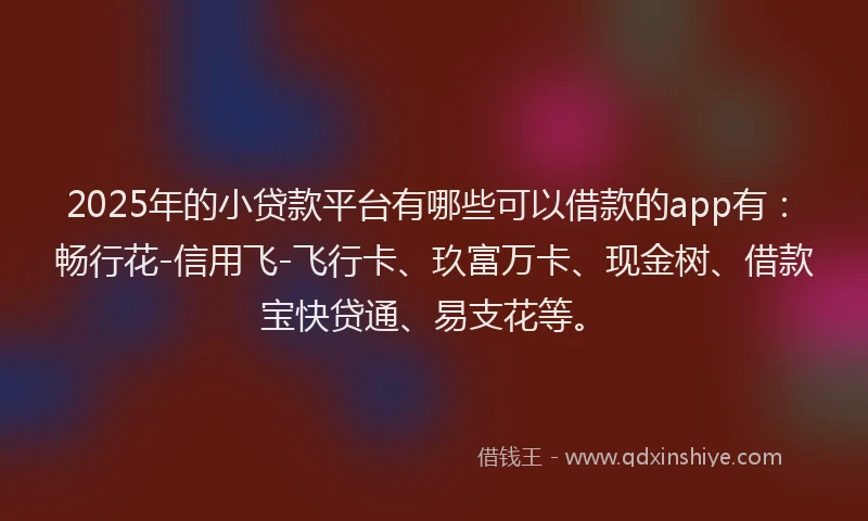 2025年的小贷款平台有哪些可以借款的app有：畅行花-信用飞-飞行卡、玖富万卡、现金树、借款宝快贷通、易支花等。