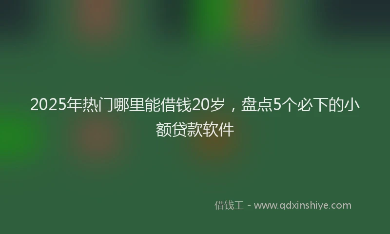 2025年热门哪里能借钱20岁，盘点5个必下的小额贷款软件