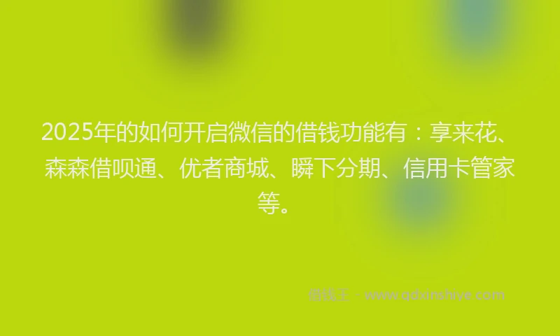 2025年的如何开启微信的借钱功能有：享来花、森森借呗通、优者商城、瞬下分期、信用卡管家等。