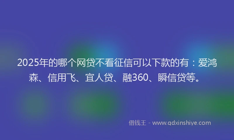 2025年的哪个网贷不看征信可以下款的有：爱鸿森、信用飞、宜人贷、融360、瞬信贷等。
