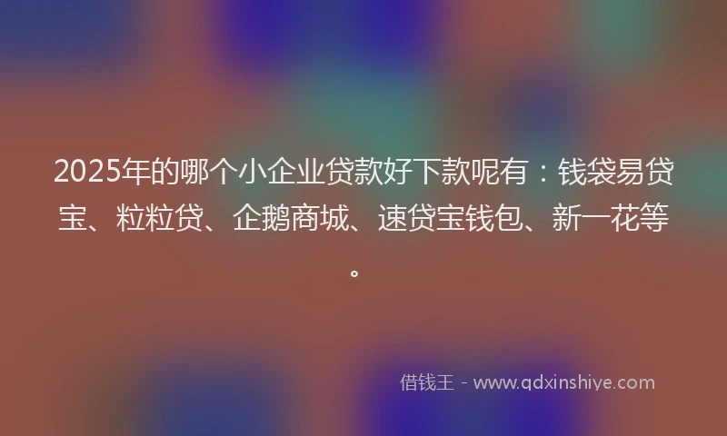 2025年的哪个小企业贷款好下款呢有：钱袋易贷宝、粒粒贷、企鹅商城、速贷宝钱包、新一花等。