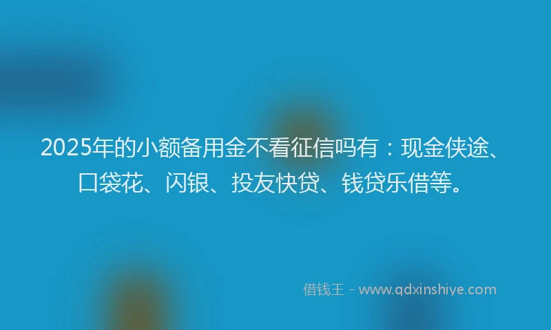 2025年的小额备用金不看征信吗有:现金侠途、口袋花、闪银、投友快贷、钱贷乐借等。