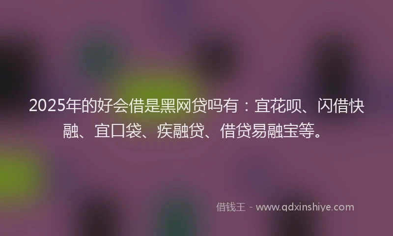 2025年的好会借是黑网贷吗有：宜花呗、闪借快融、宜口袋、疾融贷、借贷易融宝等。