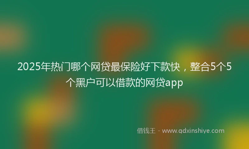 2025年热门哪个网贷最保险好下款快，整合5个5个黑户可以借款的网贷app