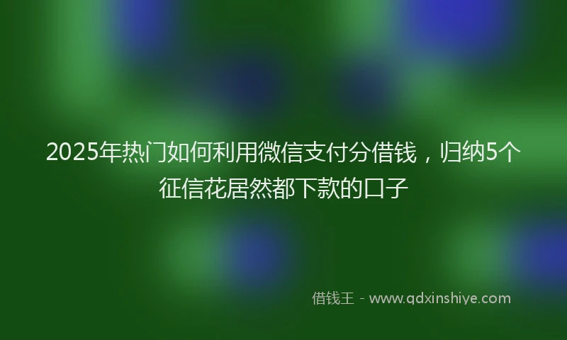 2025年热门如何利用微信支付分借钱，归纳5个征信花居然都下款的口子
