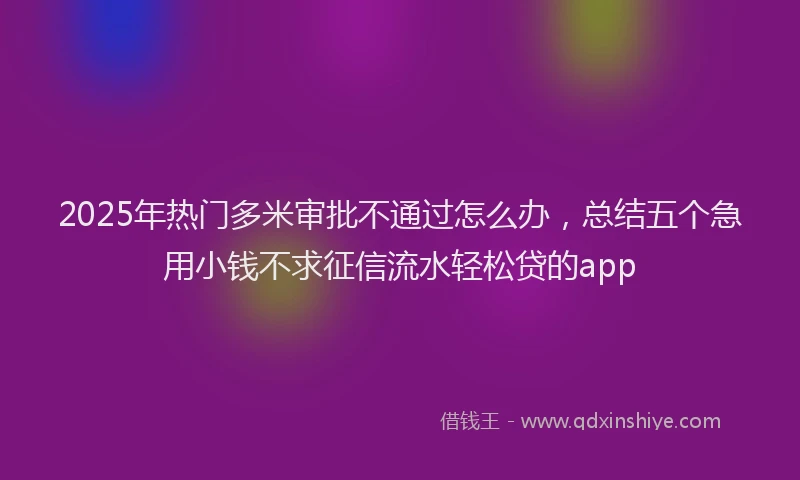 2025年热门多米审批不通过怎么办，总结五个急用小钱不求征信流水轻松贷的app