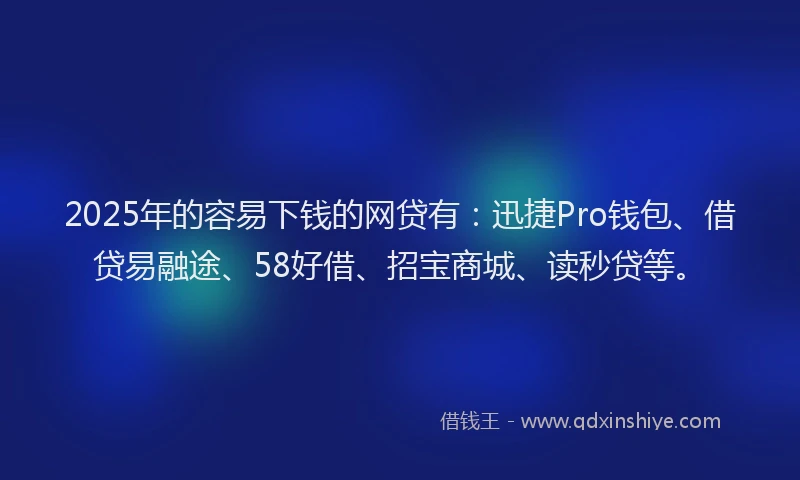 2025年的容易下钱的网贷有：迅捷Pro钱包、借贷易融途、58好借、招宝商城、读秒贷等。