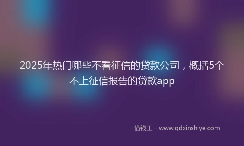 2025年热门哪些不看征信的贷款公司，概括5个不上征信报告的贷款app