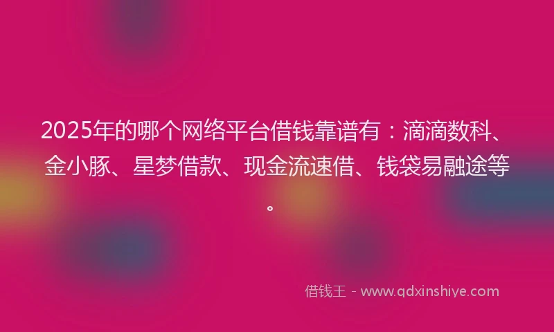 2025年的哪个网络平台借钱靠谱有：滴滴数科、金小豚、星梦借款、现金流速借、钱袋易融途等。