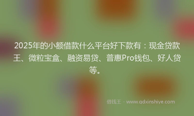 2025年的小额借款什么平台好下款有：现金贷款王、微粒宝盒、融资易贷、普惠Pro钱包、好人贷等。
