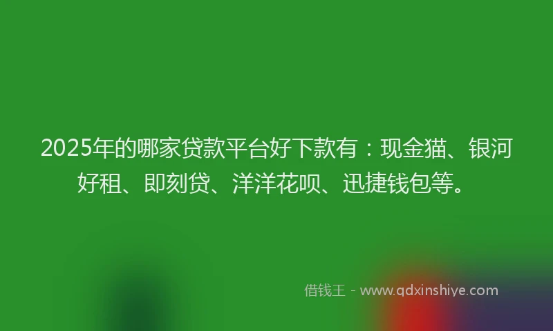2025年的哪家贷款平台好下款有：现金猫、银河好租、即刻贷、洋洋花呗、迅捷钱包等。