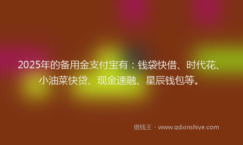 2025年的备用金支付宝有：钱袋快借、时代花、小油菜快贷、现金速融、星辰钱包等。