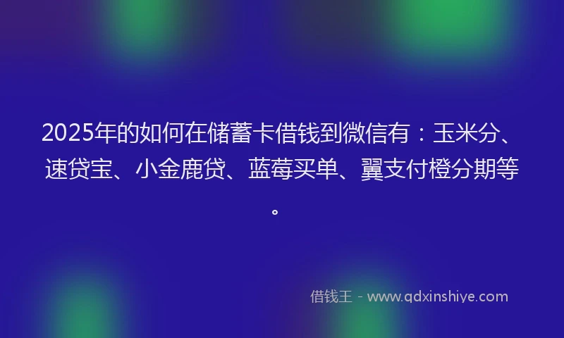 2025年的如何在储蓄卡借钱到微信有：玉米分、速贷宝、小金鹿贷、蓝莓买单、翼支付橙分期等。
