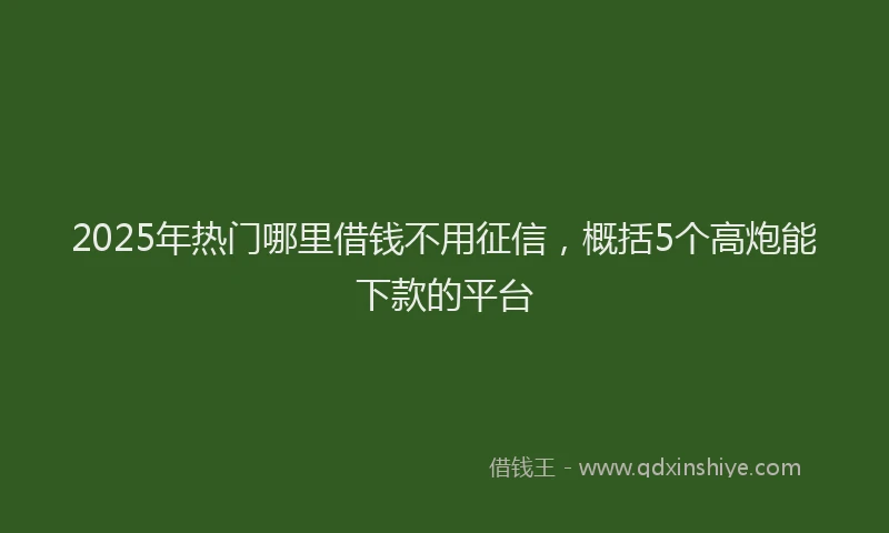 2025年热门哪里借钱不用征信，概括5个高炮能下款的平台