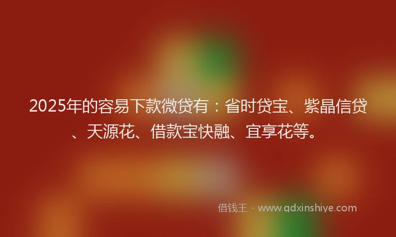 2025年的容易下款微贷有：省时贷宝、紫晶信贷、天源花、借款宝快融、宜享花等。