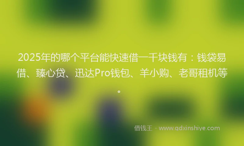 2025年的哪个平台能快速借一千块钱有：钱袋易借、臻心贷、迅达Pro钱包、羊小购、老哥租机等。