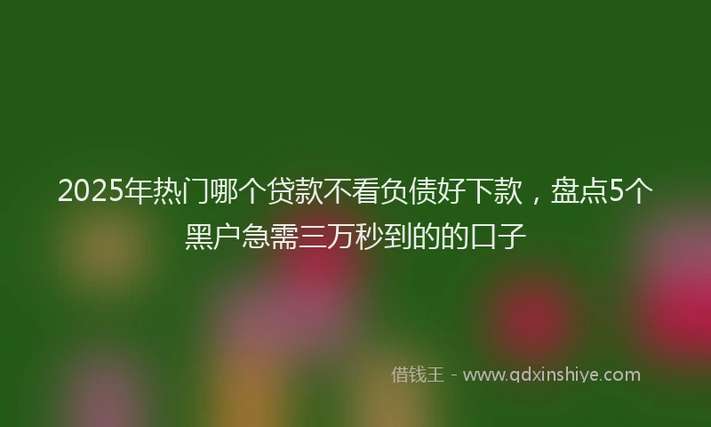 2025年热门哪个贷款不看负债好下款，盘点5个黑户急需三万秒到的的口子