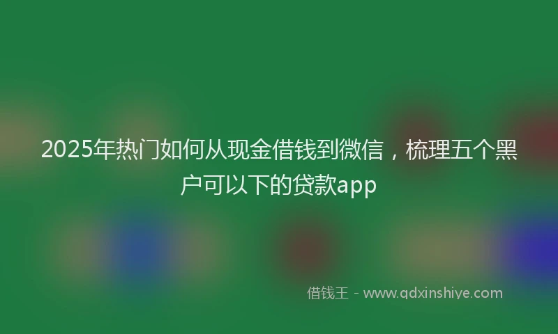 2025年热门如何从现金借钱到微信，梳理五个黑户可以下的贷款app