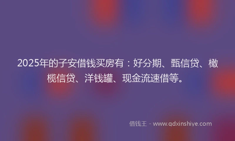 2025年的子安借钱买房有：好分期、甄信贷、橄榄信贷、洋钱罐、现金流速借等。