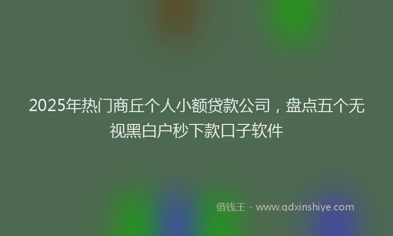 2025年热门商丘个人小额贷款公司，盘点五个无视黑白户秒下款口子软件