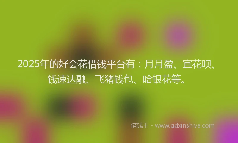2025年的好会花借钱平台有：月月盈、宜花呗、钱速达融、飞猪钱包、哈银花等。