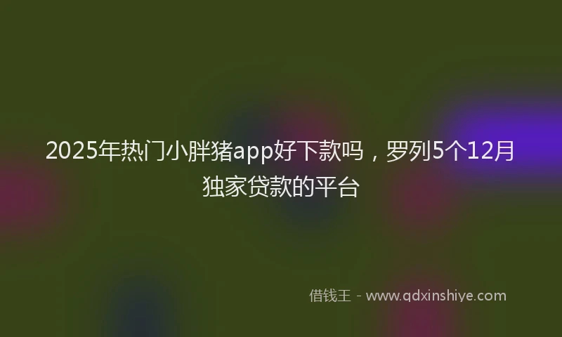 2025年热门小胖猪app好下款吗，罗列5个12月独家贷款的平台