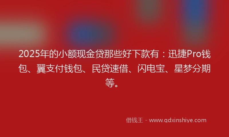 2025年的小额现金贷那些好下款有：迅捷Pro钱包、翼支付钱包、民贷速借、闪电宝、星梦分期等。