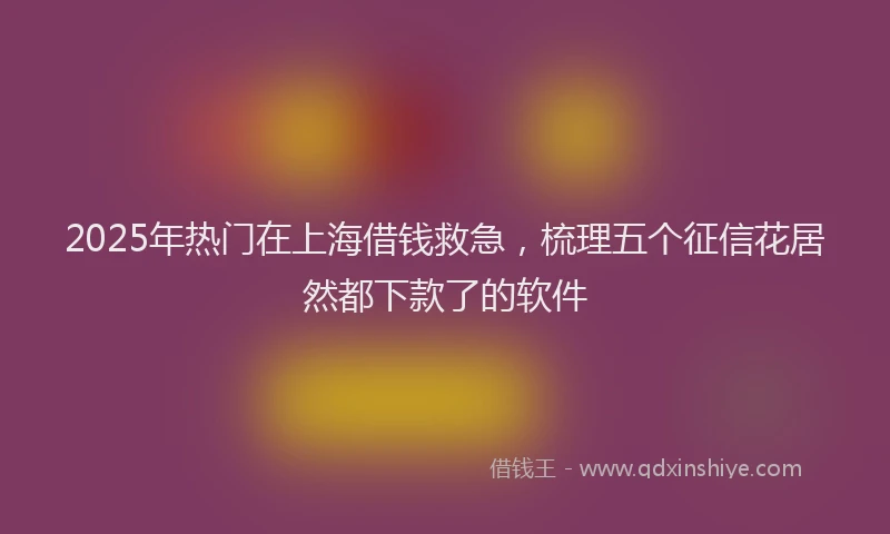 2025年热门在上海借钱救急，梳理五个征信花居然都下款了的软件