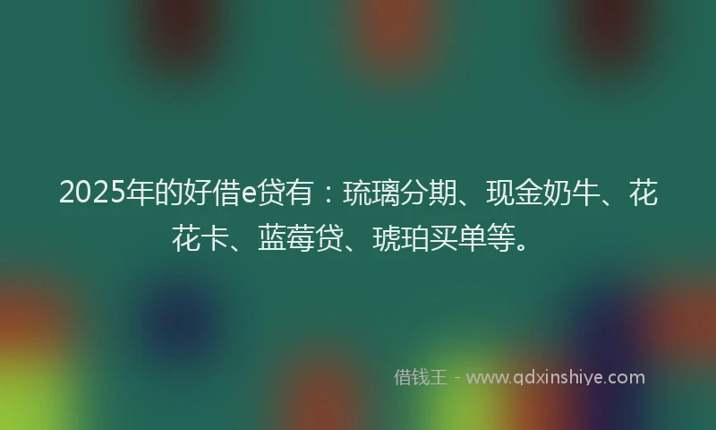 2025年的好借e贷有：琉璃分期、现金奶牛、花花卡、蓝莓贷、琥珀买单等。