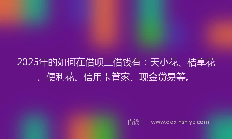 2025年的如何在借呗上借钱有：天小花、桔享花、便利花、信用卡管家、现金贷易等。