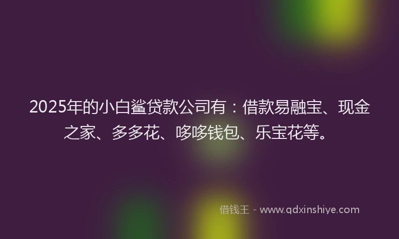2025年的小白鲨贷款公司有：借款易融宝、现金之家、多多花、哆哆钱包、乐宝花等。
