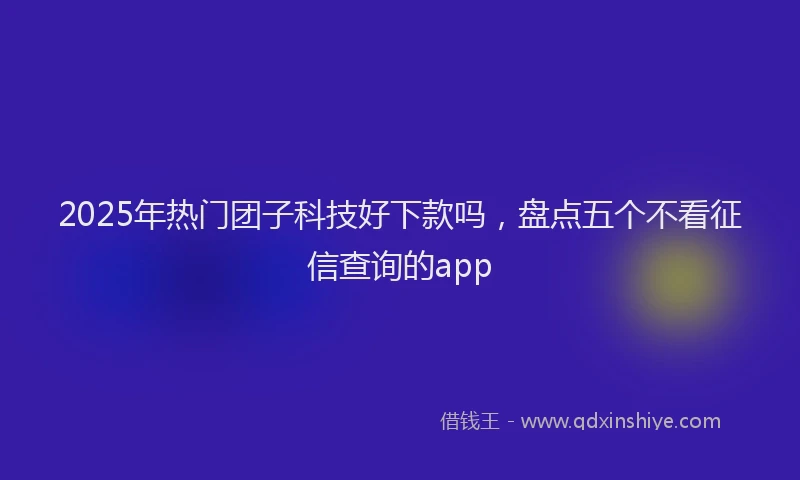 2025年热门团子科技好下款吗，盘点五个不看征信查询的app