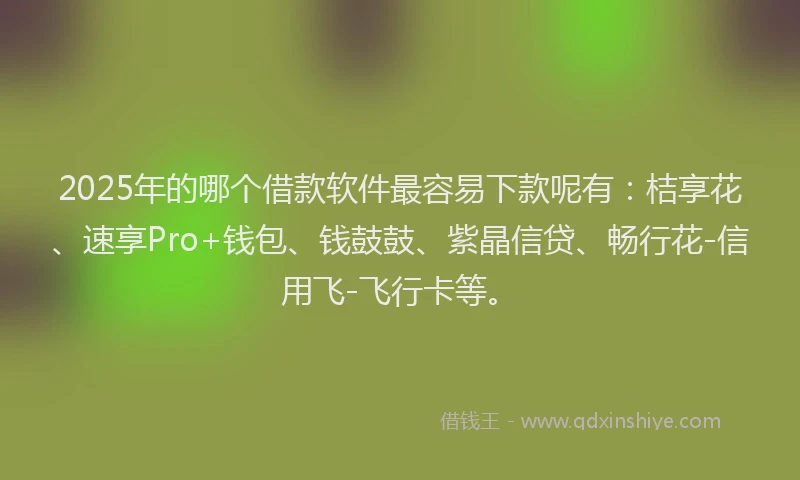 2025年的哪个借款软件最容易下款呢有：桔享花、速享Pro+钱包、钱鼓鼓、紫晶信贷、畅行花-信用飞-飞行卡等。