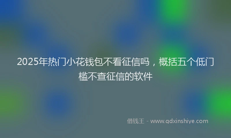 2025年热门小花钱包不看征信吗，概括五个低门槛不查征信的软件