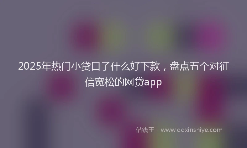 2025年热门小贷口子什么好下款，盘点五个对征信宽松的网贷app