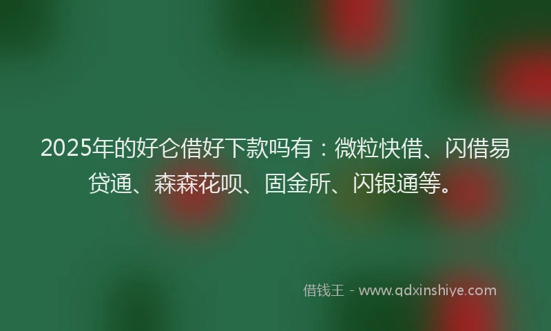 2025年的好仑借好下款吗有：微粒快借、闪借易贷通、森森花呗、固金所、闪银通等。
