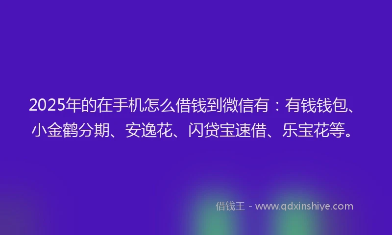 2025年的在手机怎么借钱到微信有：有钱钱包、小金鹤分期、安逸花、闪贷宝速借、乐宝花等。