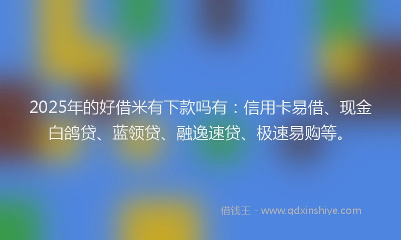 2025年的好借米有下款吗有：信用卡易借、现金白鸽贷、蓝领贷、融逸速贷、极速易购等。